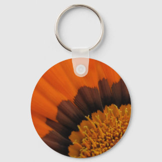Gazania Chaveiro