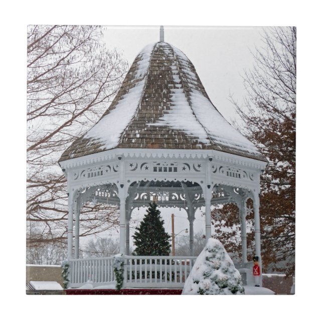 Gazebo na neve (Frente)