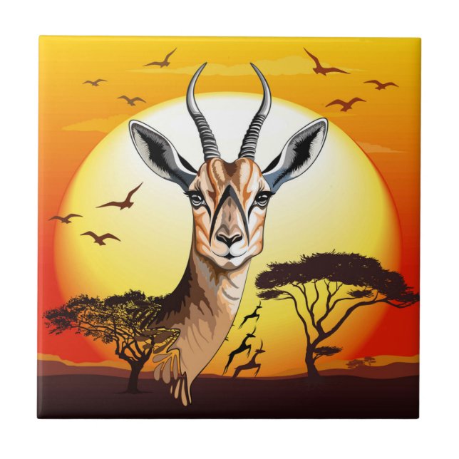 Gazelle African Antelope Wild Animal (Frente)