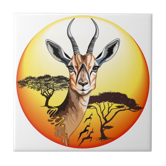 Gazelle African Antelope Wild Animal (Frente)