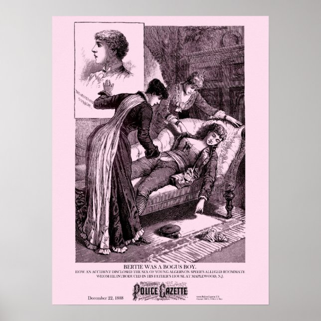 Gazeta poster Bertie da Polícia (Frente)