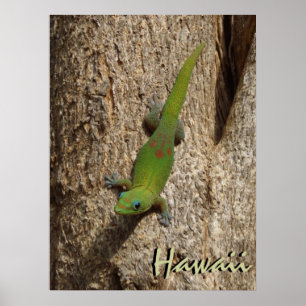 Gecko caipira poster tropical ao ar livre
