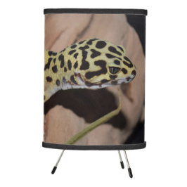 Gecko - Leopardo Amarelo Negrito