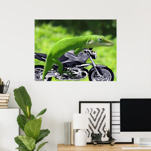 Gecko Rider Poster verde havaiano