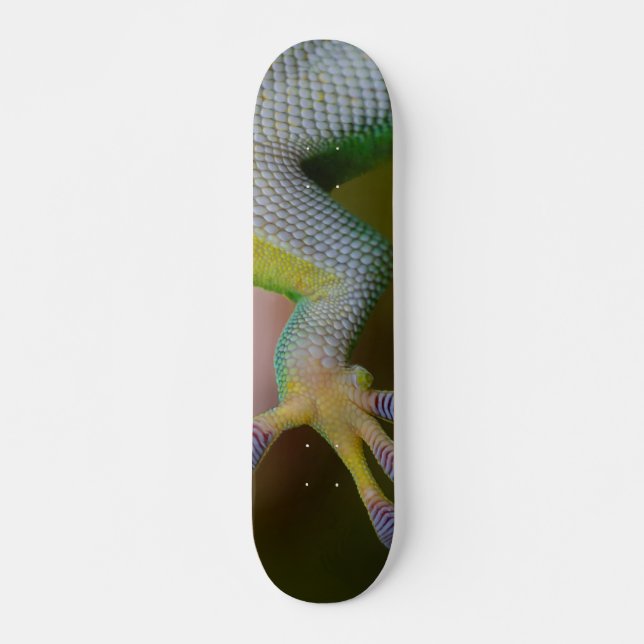 Gecko Skateboard (Frente)