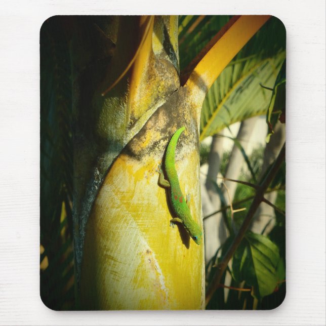 Gecko tropical mousepad havaiano (Frente)