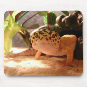 Geco Mousepad do leopardo