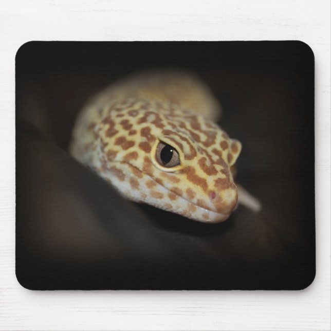 Geco Mousepad do leopardo (Frente)