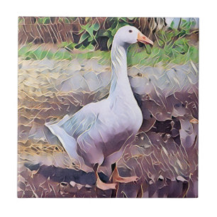 GEESE