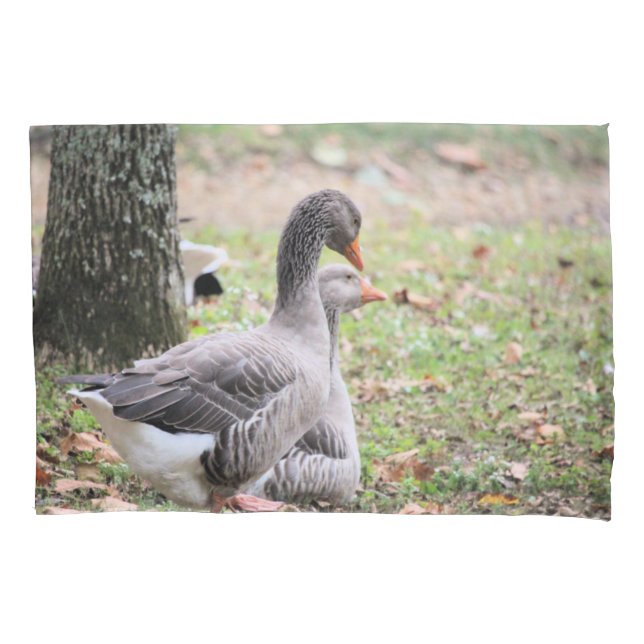 Geese (Frente)