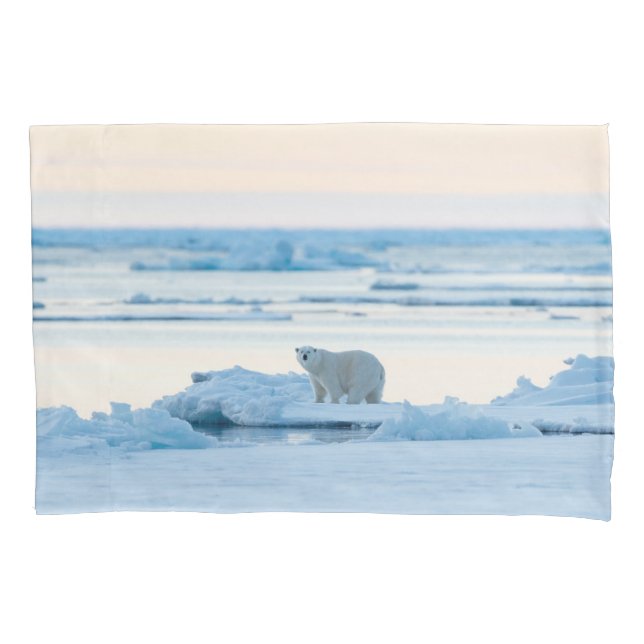 Gelo e neve | Polar Bear Iceberg Noruega (Frente)