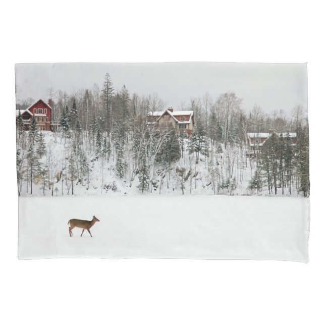 Gelo e neve | Veado em Snow Quebec, Canadá (Frente)