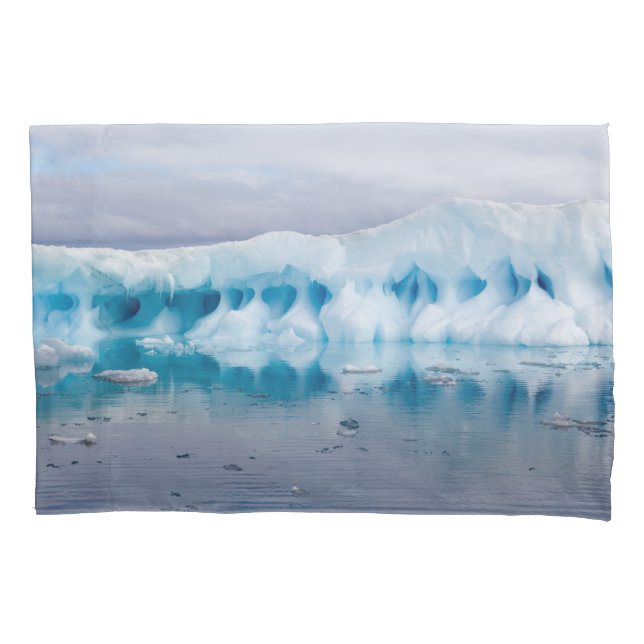 Gelo na Antártica (Frente)