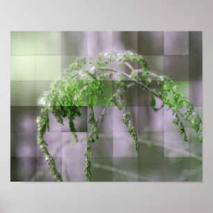 Gelo Na Poster De Goldenrod Nature