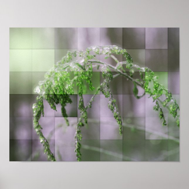 Gelo Na Poster De Goldenrod Nature (Frente)