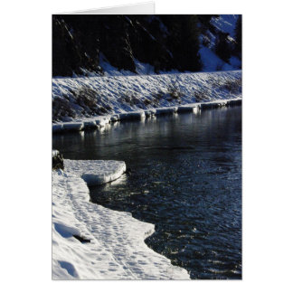 Gelo no Cartão Pé Negro