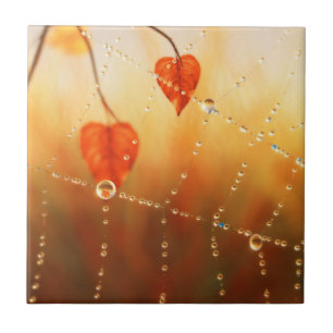 Gemas de um Azulejo decorativo da manhã de outono 