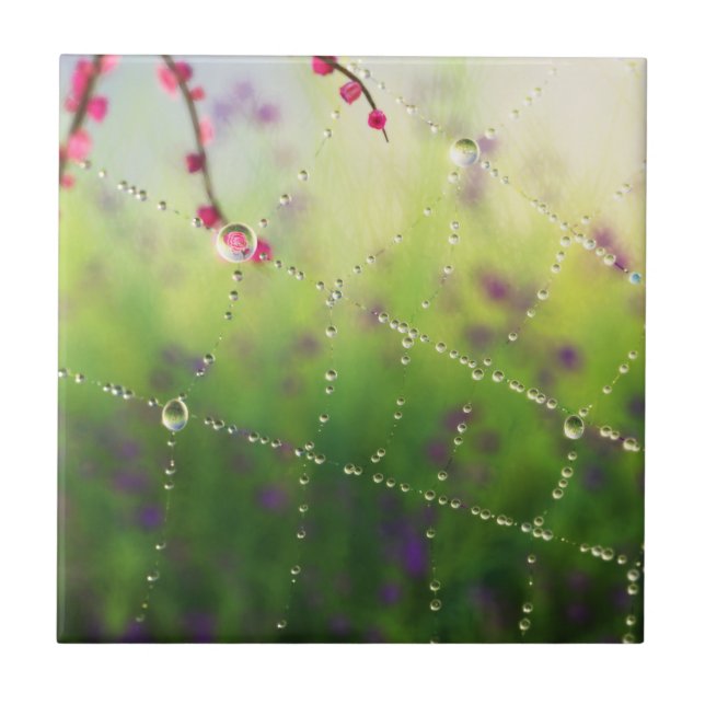 Gemas de um Azulejo/Trivet da Manhã de Primavera (Frente)