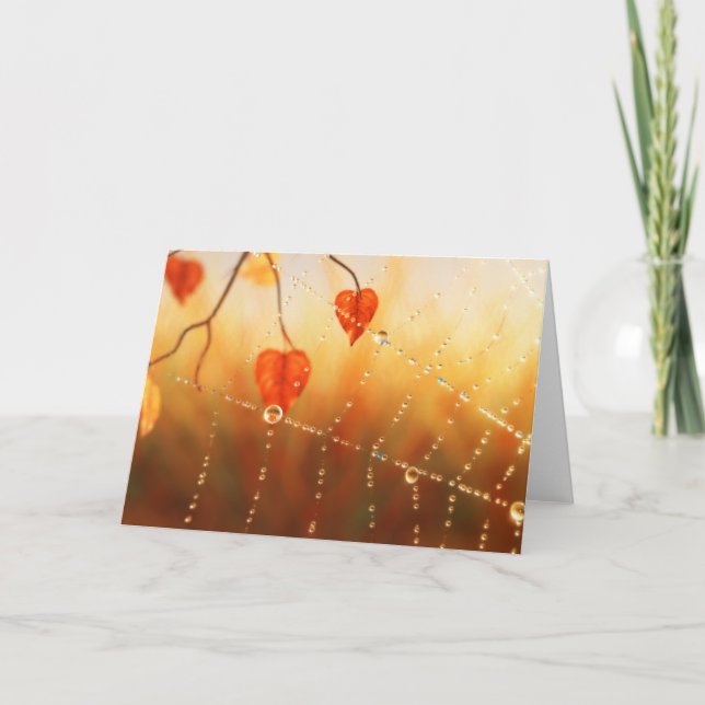 Gemas de um Cartão de Manhã de outono (Frente)