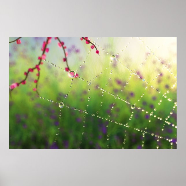 Gemas de um Impressão da manhã de Primavera (Frente)