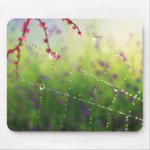 Gemas de um Mousepad da Manhã de Primavera