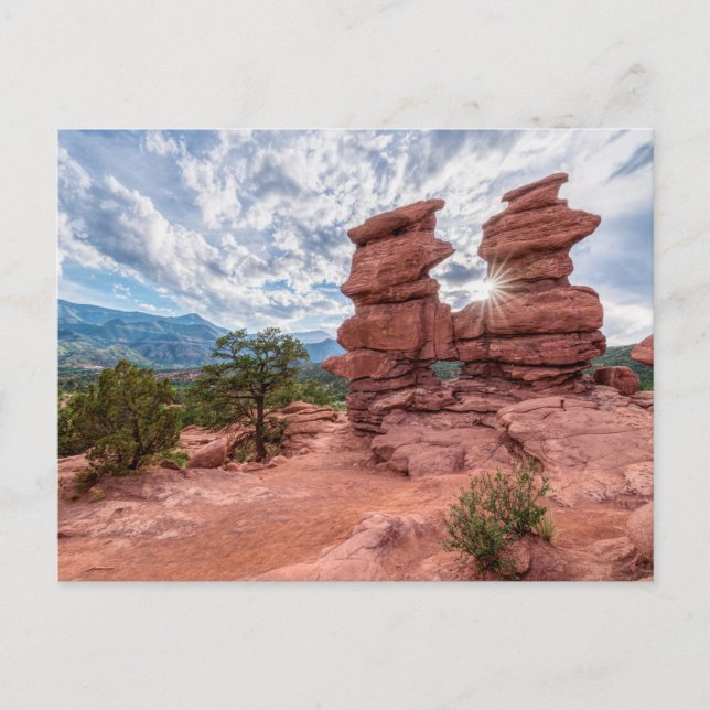 Gêmeos Siameses Colorado Sunburst Cartão Postal (Frente)
