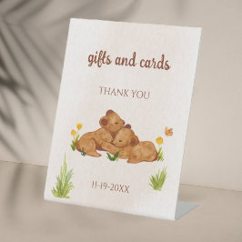 Gêmeos têm chá de fraldas neutro em termos de gêne