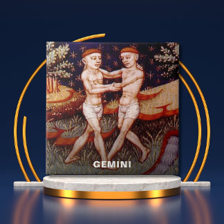 Gemini, a Festa de aniversário dos Sinais Gêmeos Z