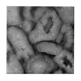 Gemstones brancos pretos do Geode Agate Quartz