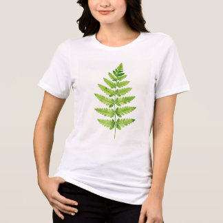 Gênero Dryopteris