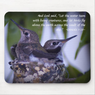 Genesis 1:20 Juvenil Hummingbird Mousepad