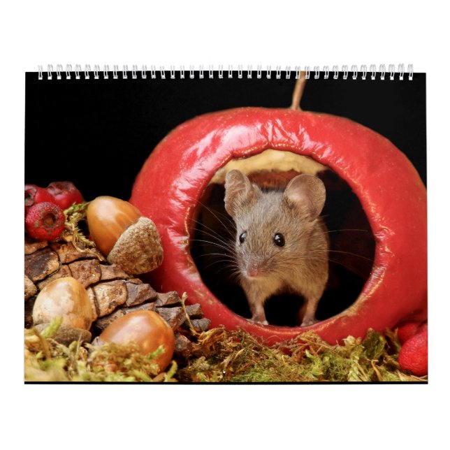 George, o rato num calendário de 2022 (Capa)