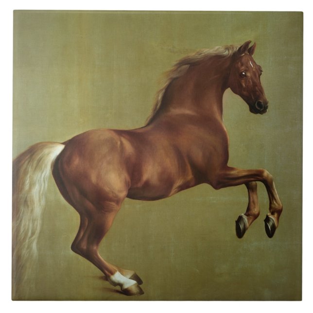 George Stubbs| Casaco de assobio, 1762 (Frente)
