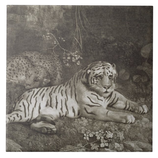 George Stubbs | dois Tygers, gravado pelo artista (Frente)