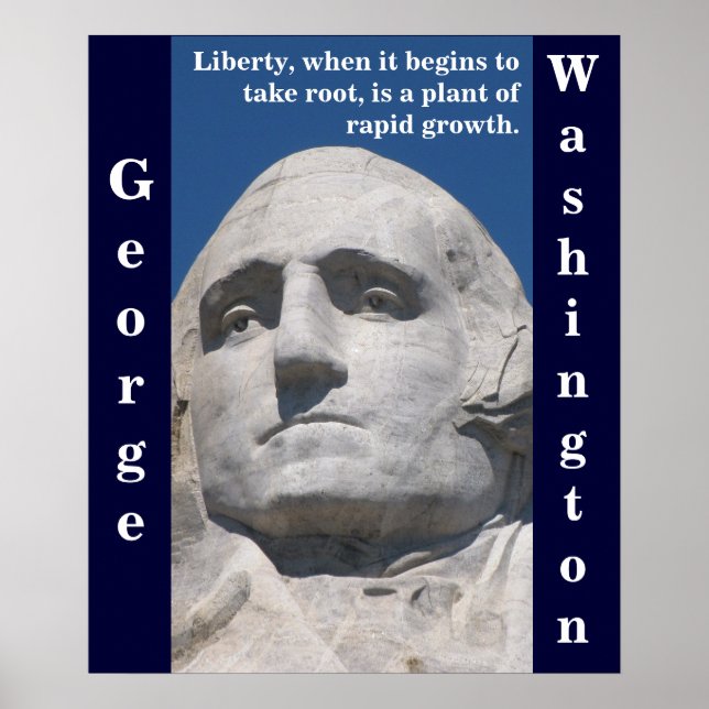 George Washington Liberty Poster (Frente)