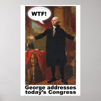 George Washington WTF (com legenda) Poster