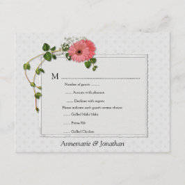 Gerber Daisies - RSVP