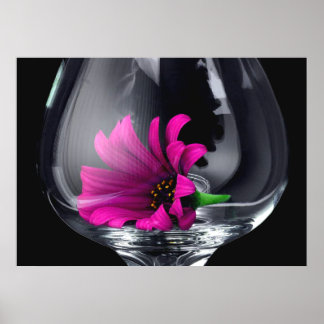 Gerber Daisy em Vidro POSTER ou CARTÃO