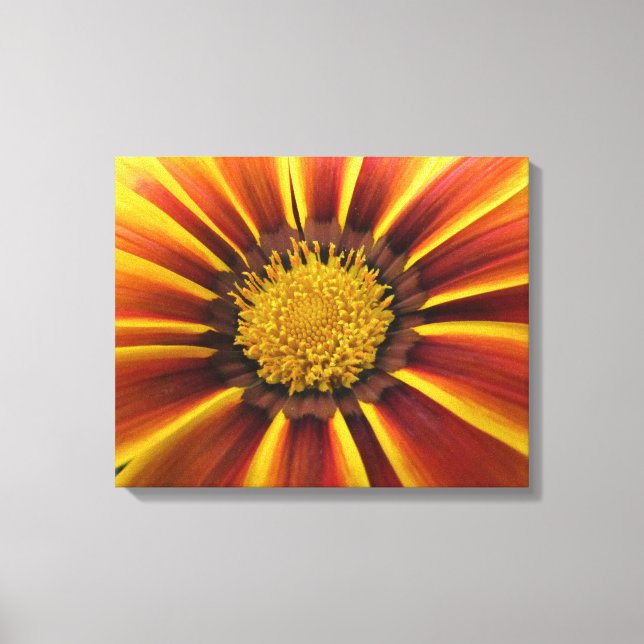 Gerber Daisy Up Close e Personal Canvas (Frente)