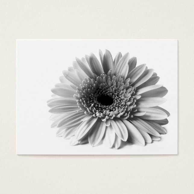 Gerbera (Frente)