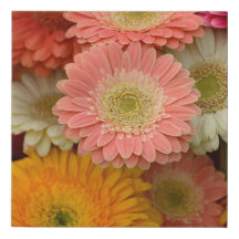 Gerbera Daisy Floral Canvas Print