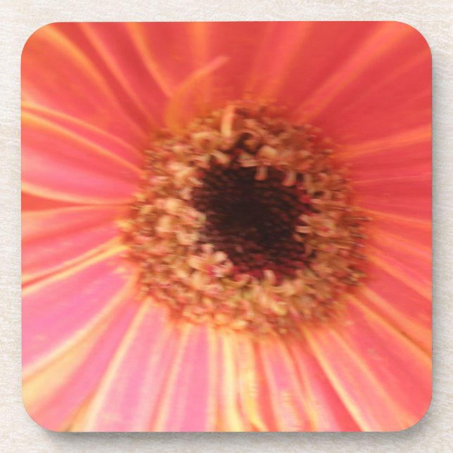 Gerbera Daisy Flower Cork Porta copos (Frente)