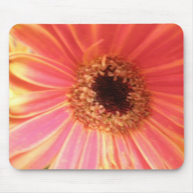 Gerbera Daisy Flower Mousepad (Frente)