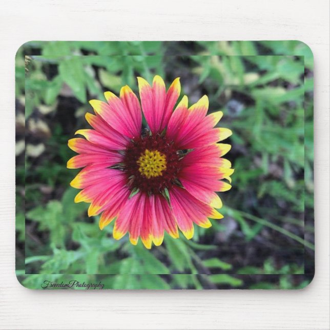 Gerbera Daisy Mouse Pad (Frente)