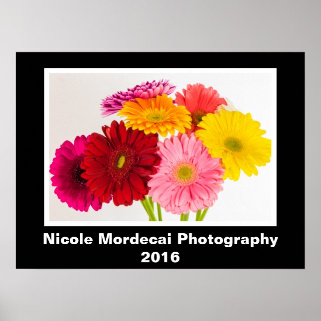 Gerbera Daisy Poster (Frente)