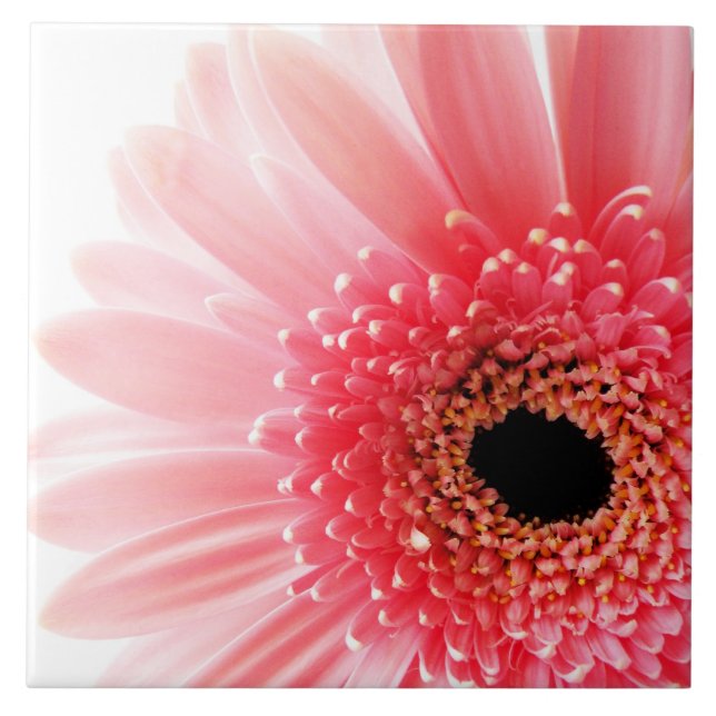 Gerbera Daisy Poster (Frente)