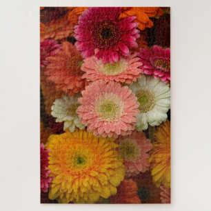 Gerbera Daisy Quebra-cabeça