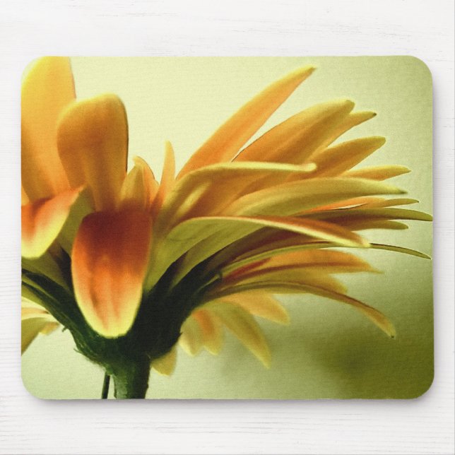 Gerbera Flower Mousepad (Frente)