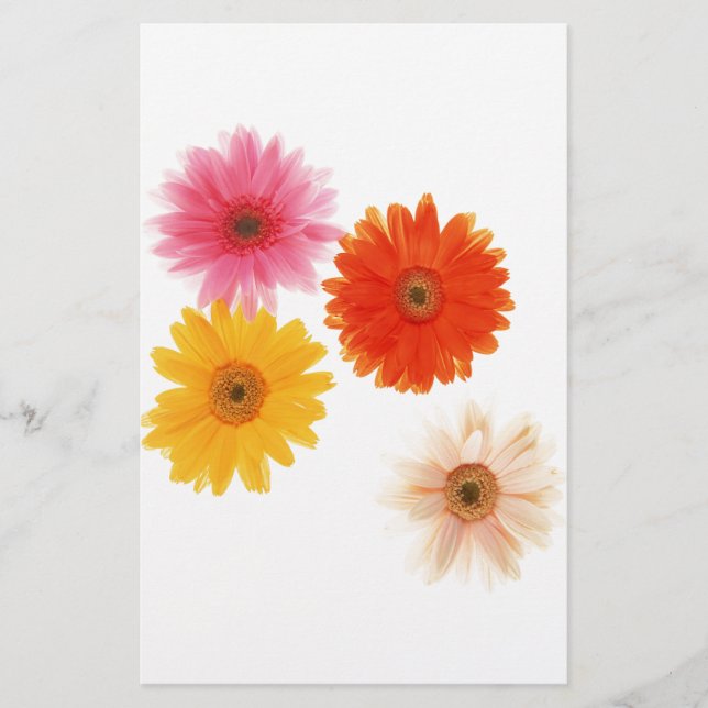 Gerbera Flowers Impressão Flor Flutuante Floral (Frente)