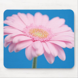 Gerbera Mousepad Rosa